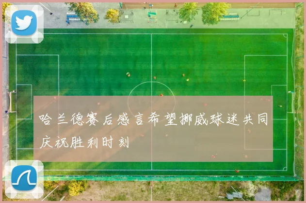 哈兰德赛后感言希望挪威球迷共同庆祝胜利时刻