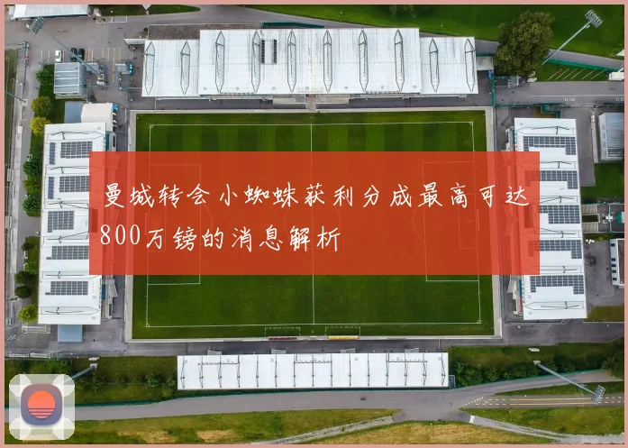 曼城转会小蜘蛛获利分成最高可达800万镑的消息解析
